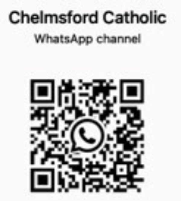 Whats App Scan